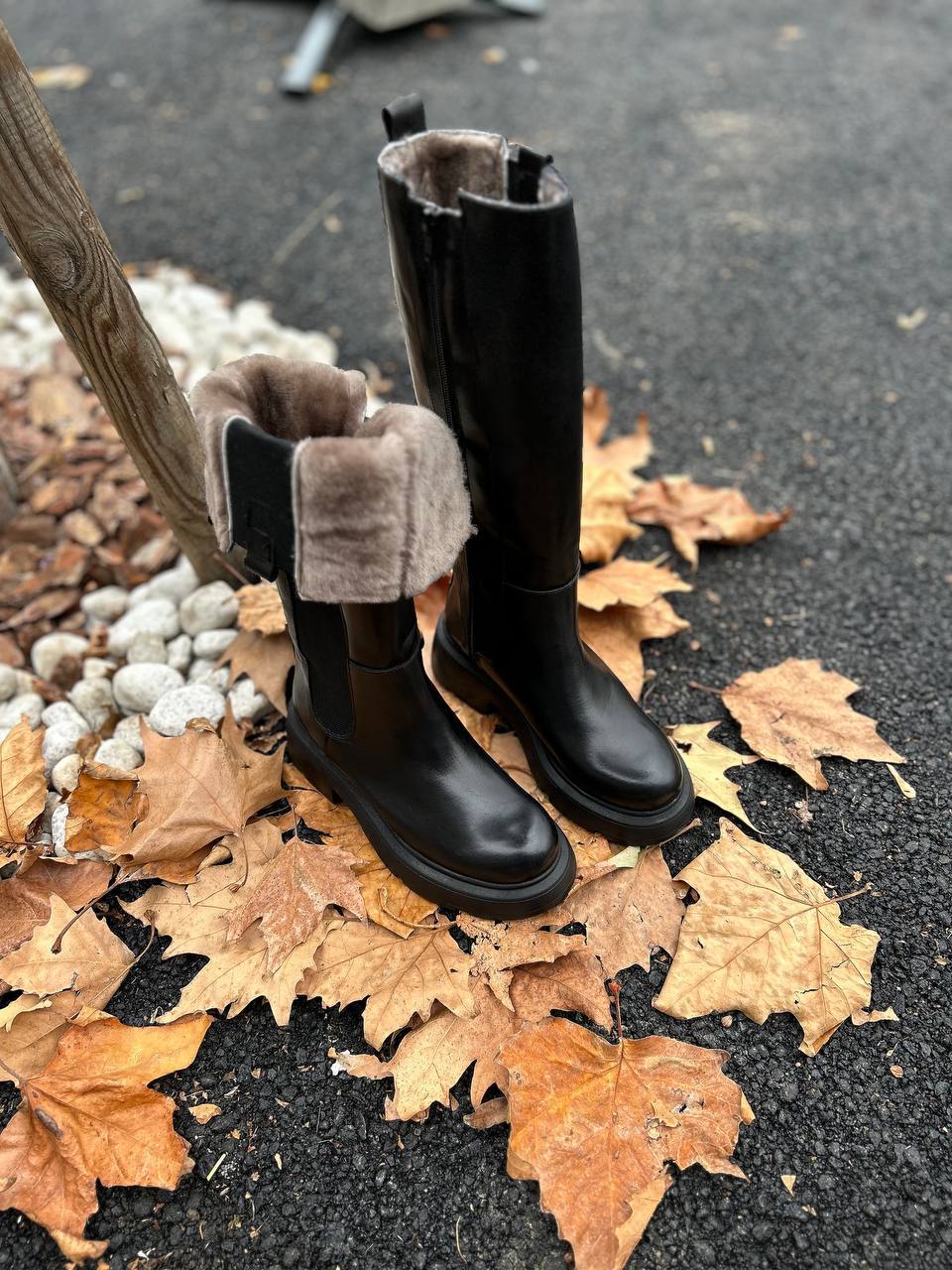 Фото Federica Lancioni