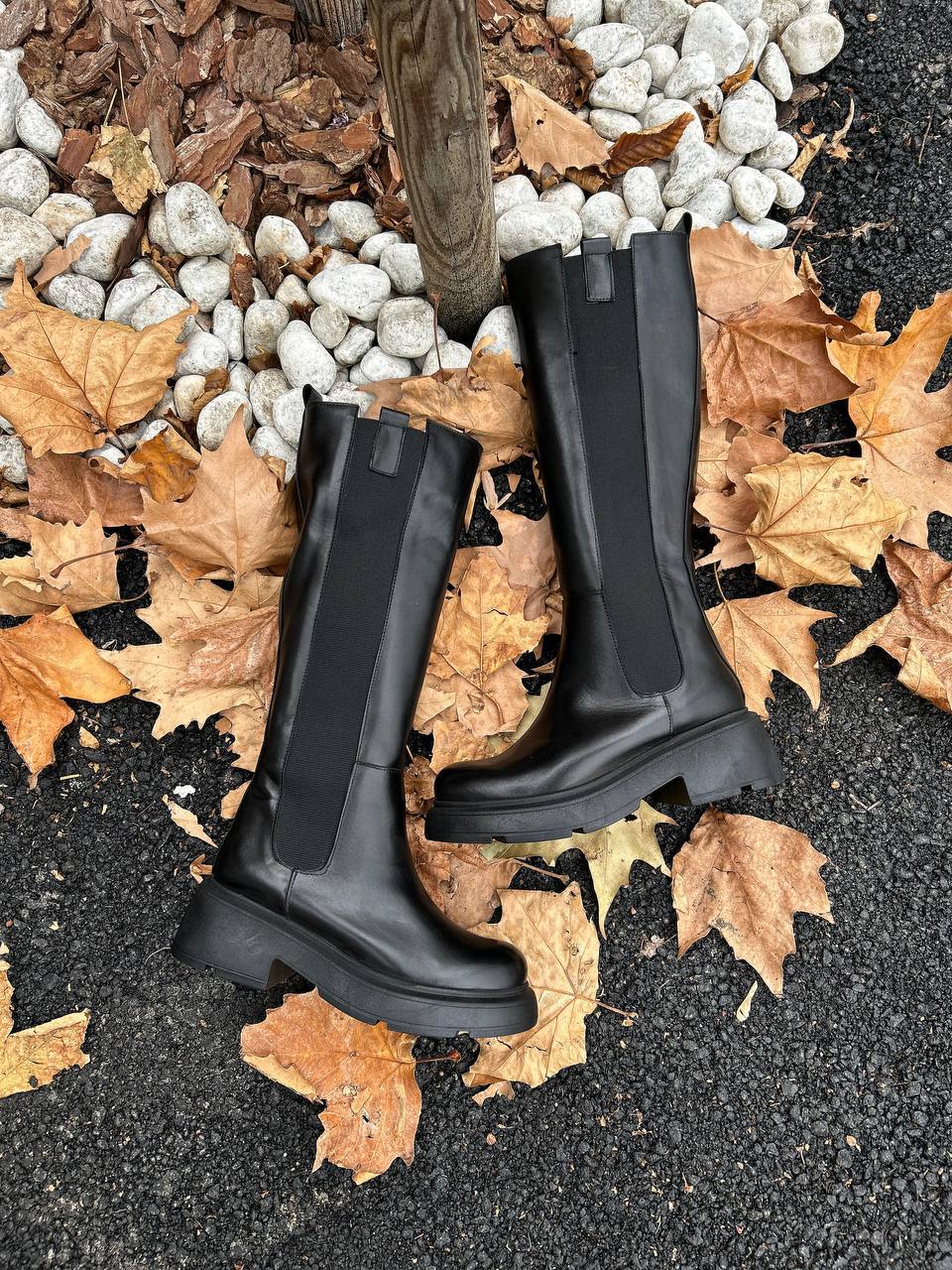 Фото Federica Lancioni