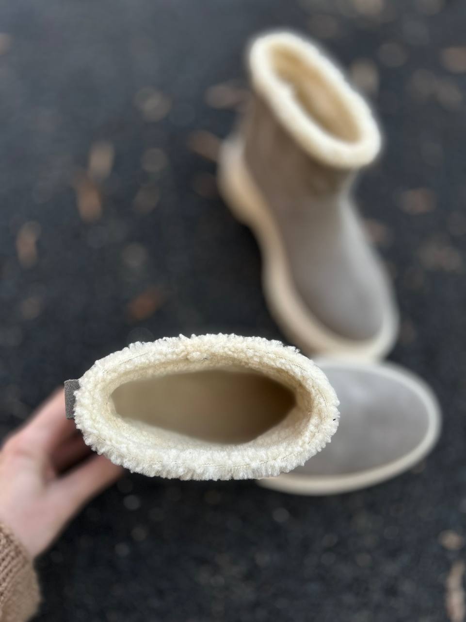 Фото Federica Lancioni