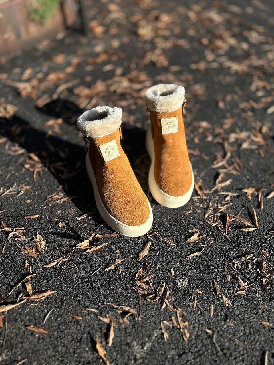 Фото Federica Lancioni