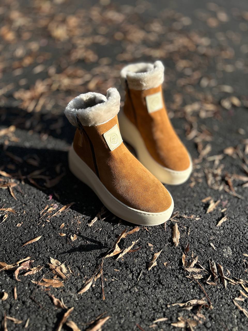 Фото Federica Lancioni