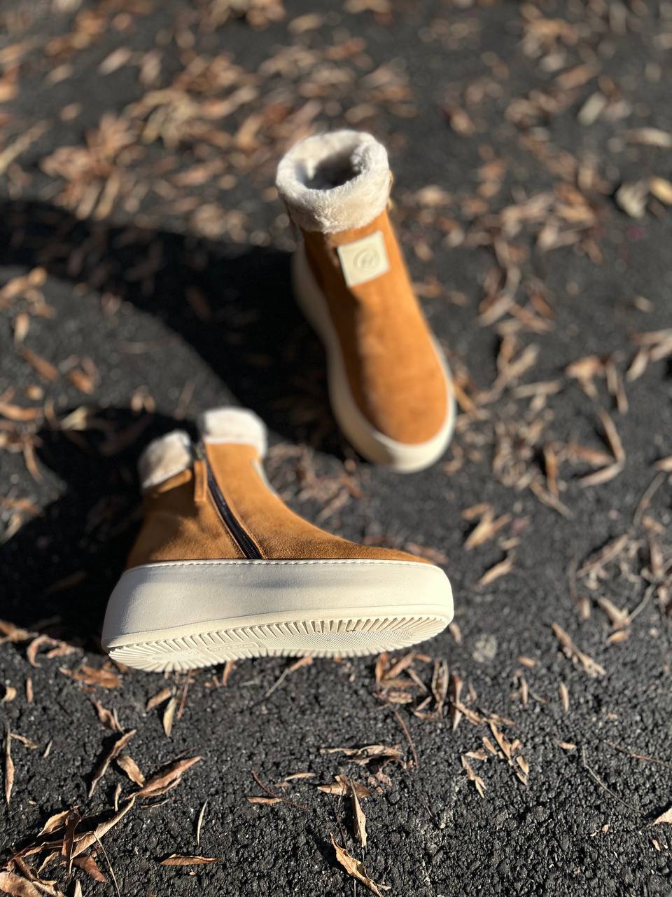 Фото Federica Lancioni