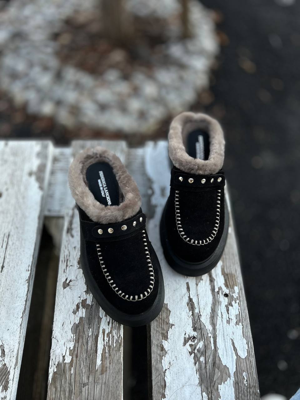 Фото Federica Lancioni