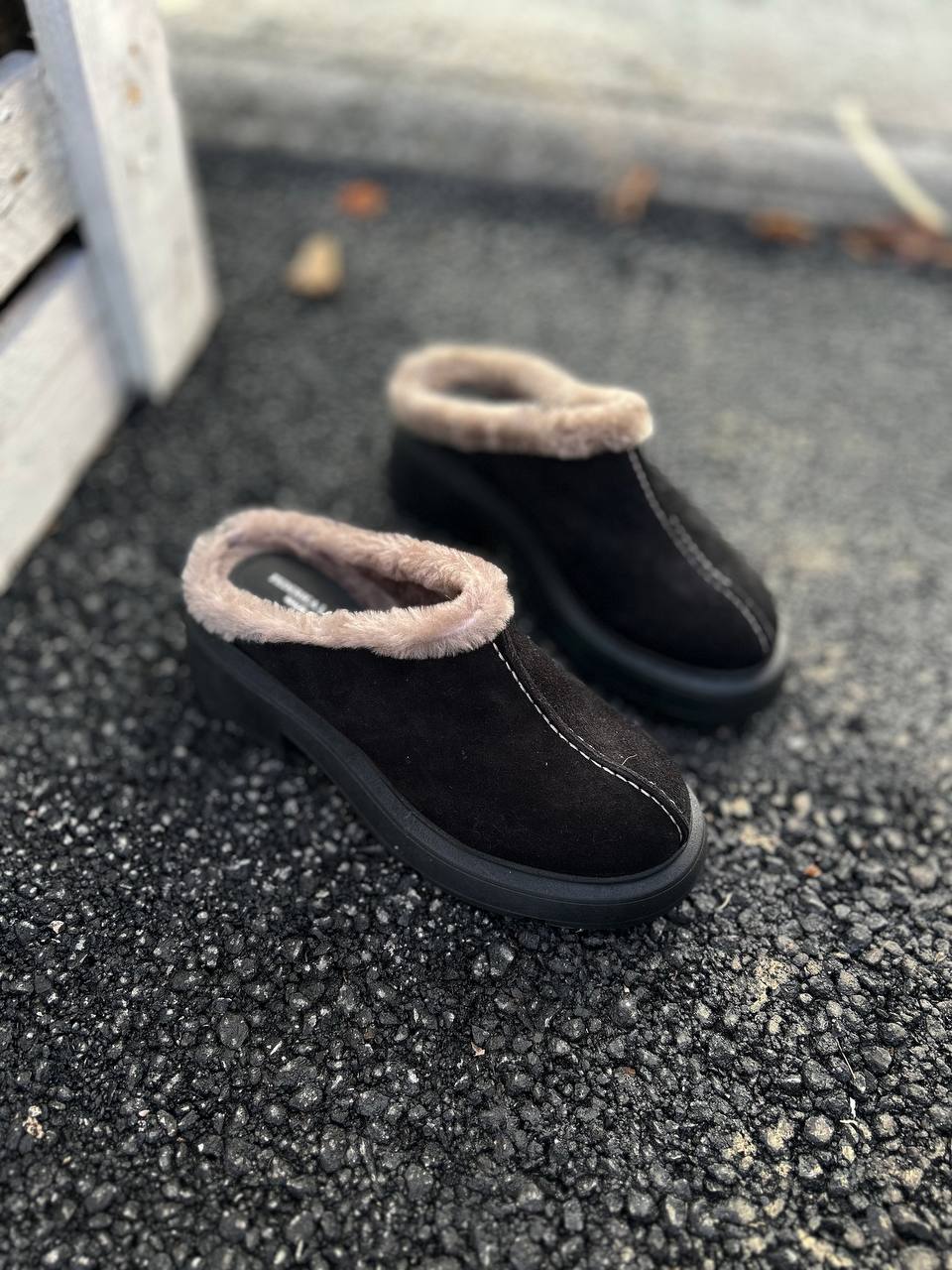 Фото Federica Lancioni