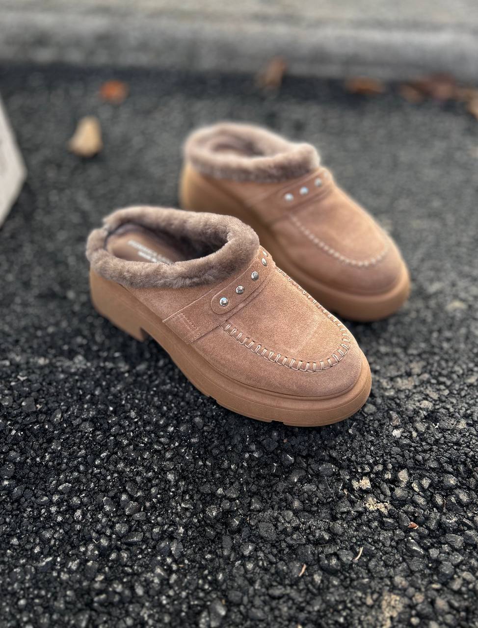 Фото Federica Lancioni