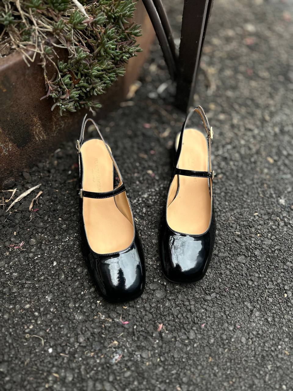 Фото Federica Lancioni