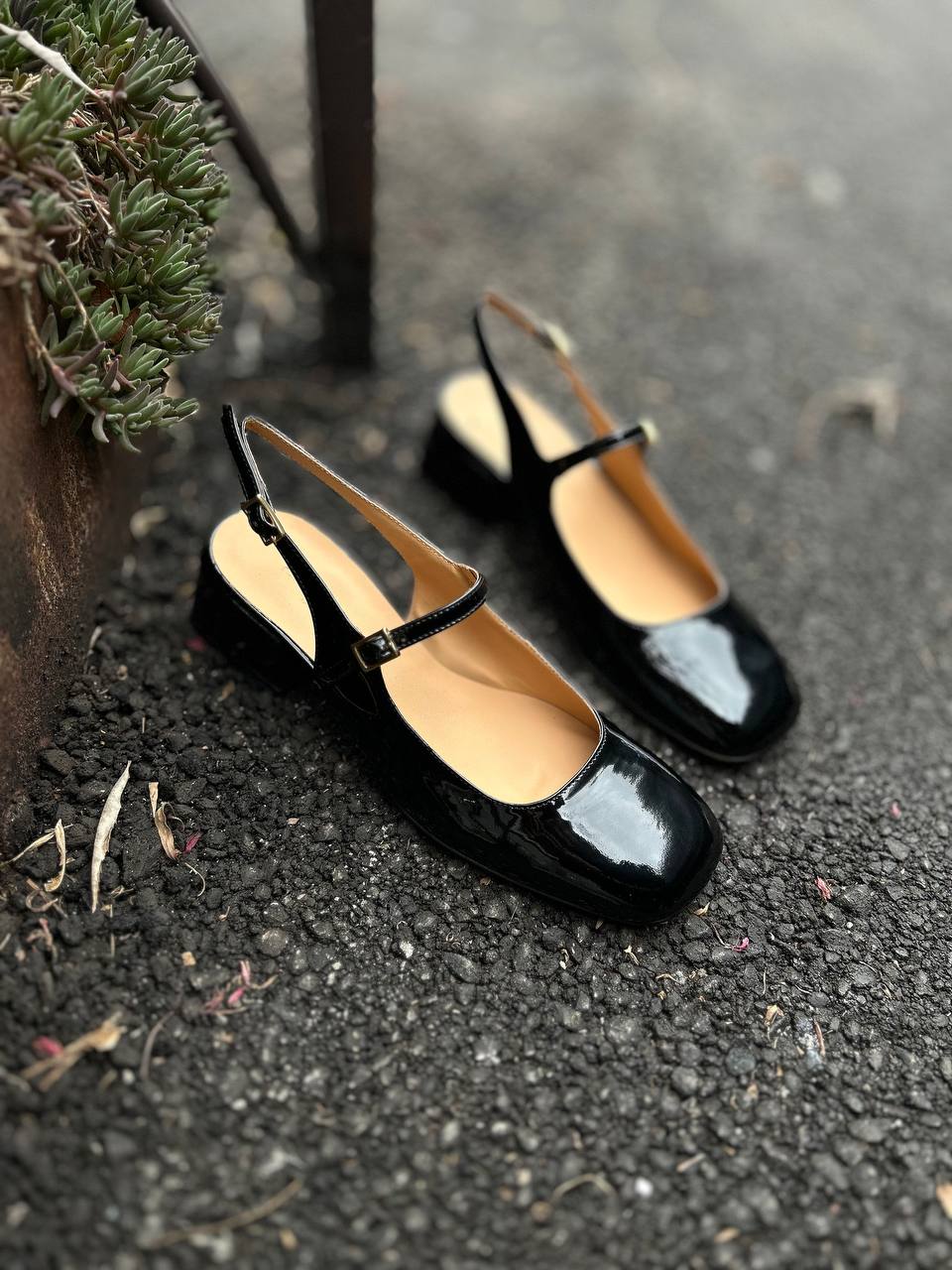 Фото Federica Lancioni