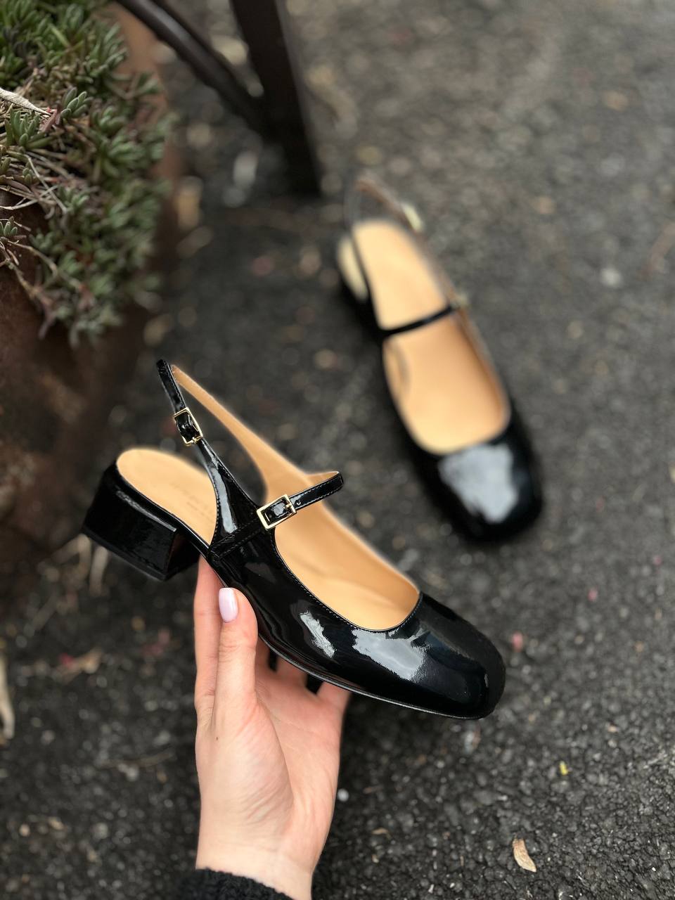 Фото Federica Lancioni