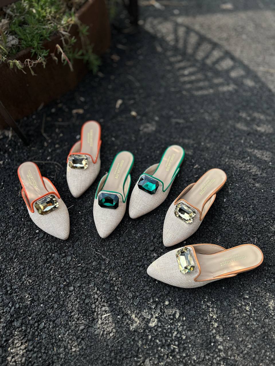 Фото Federica Lancioni