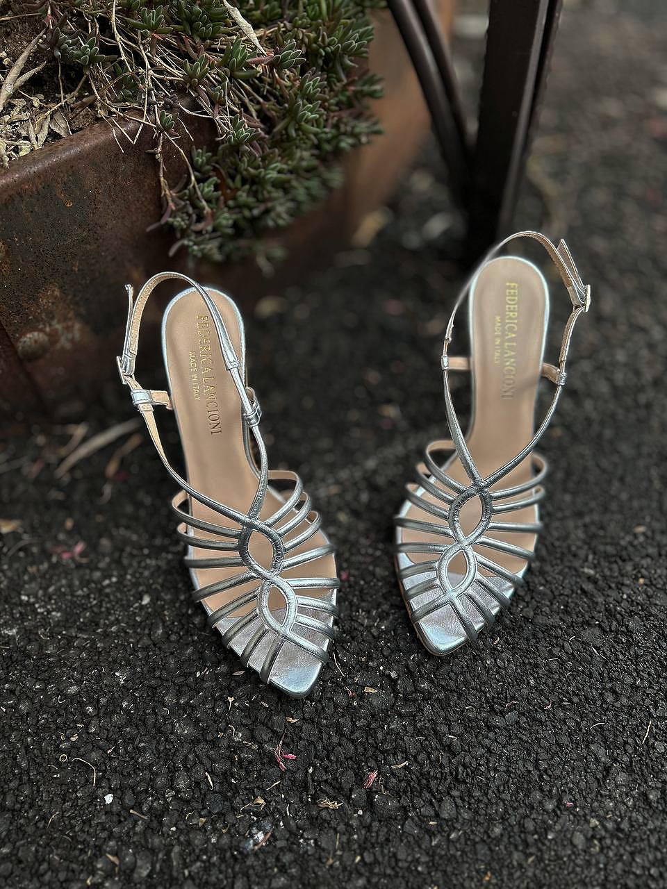 Фото Federica Lancioni