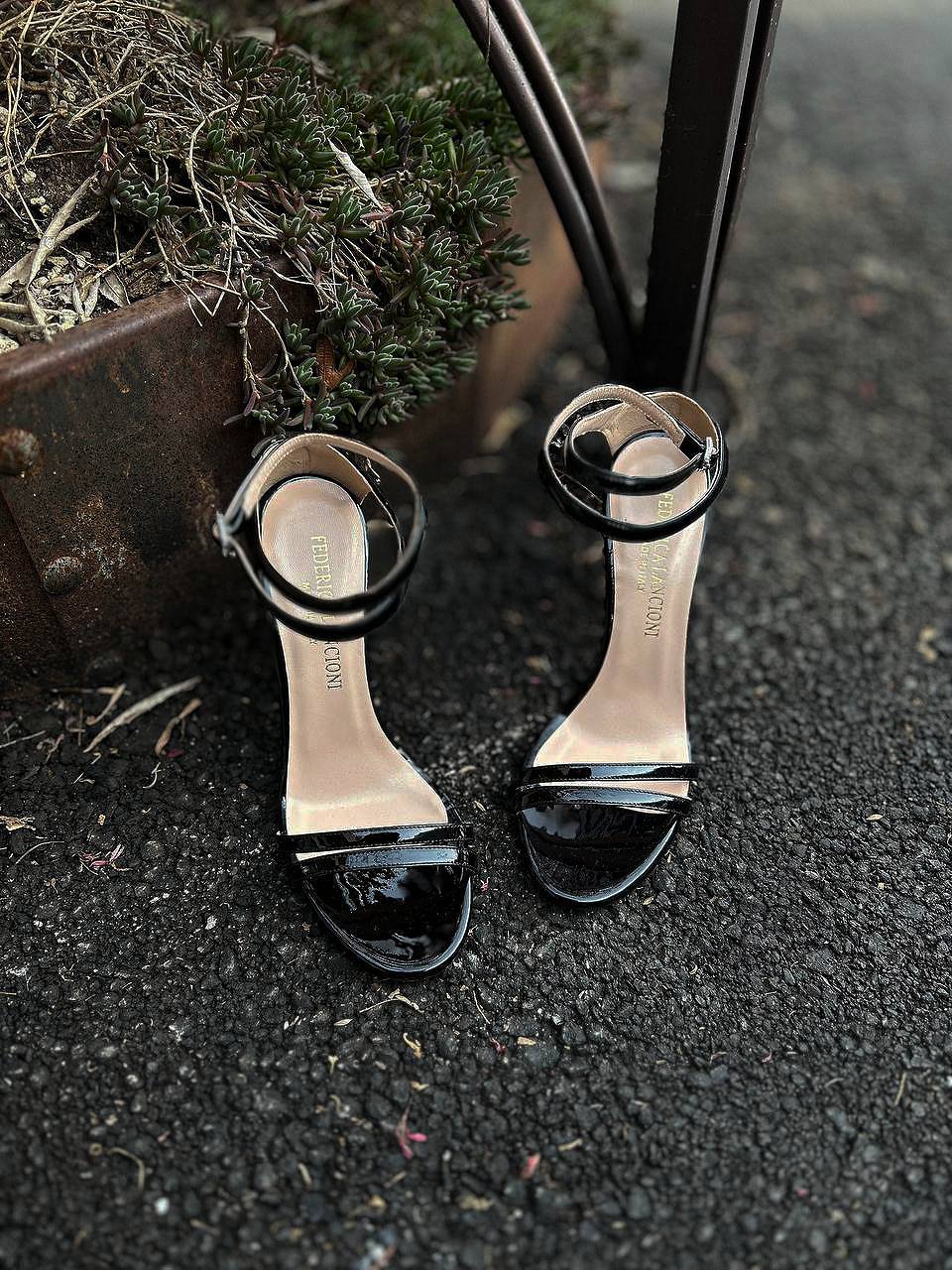 Фото Federica Lancioni