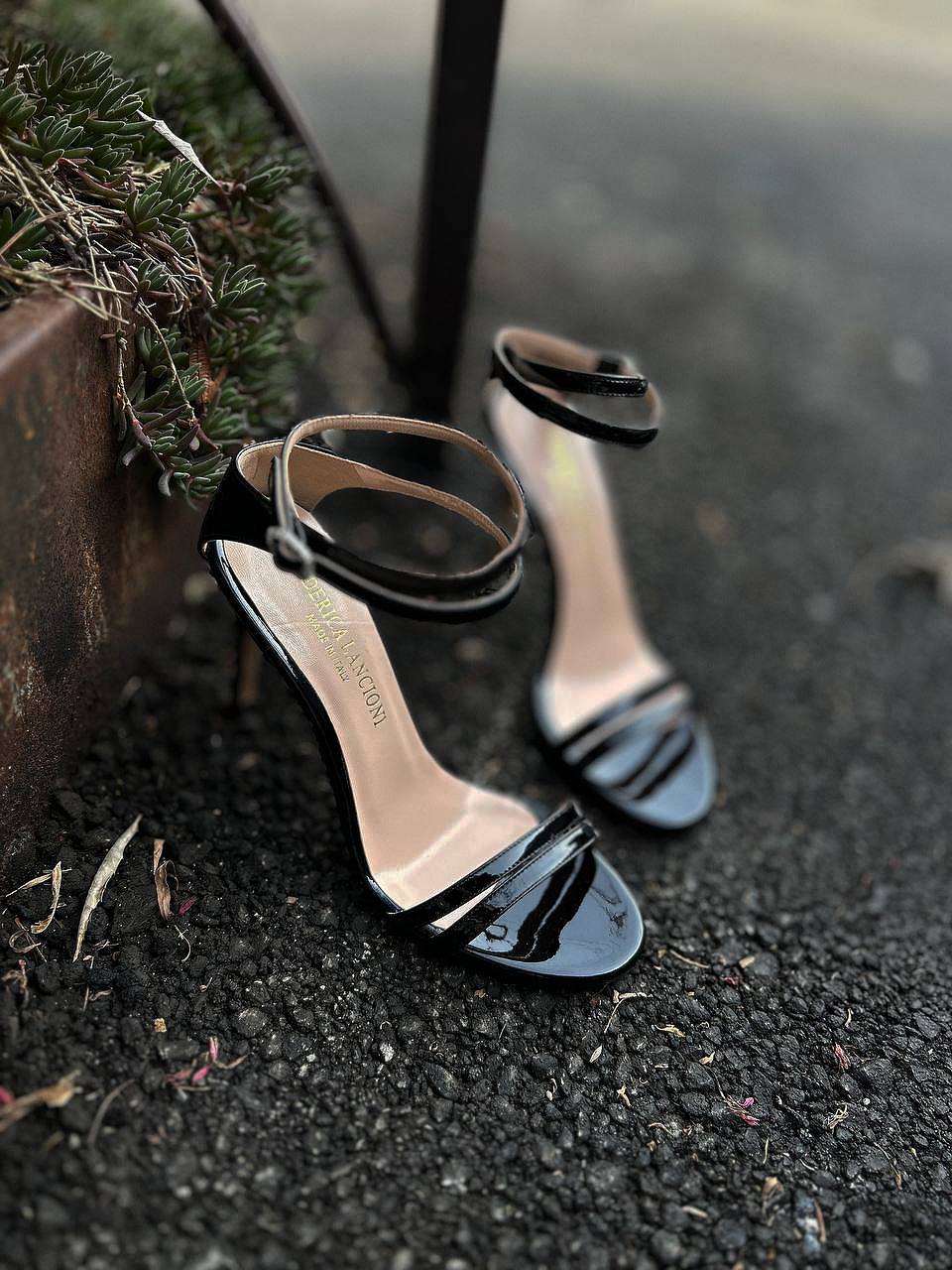 Фото Federica Lancioni