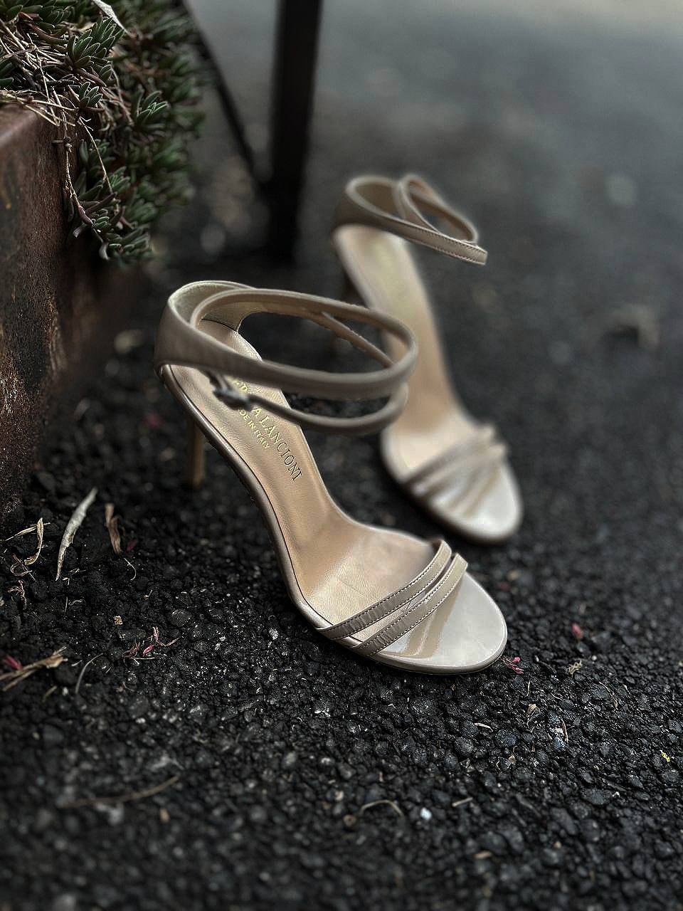 Фото Federica Lancioni