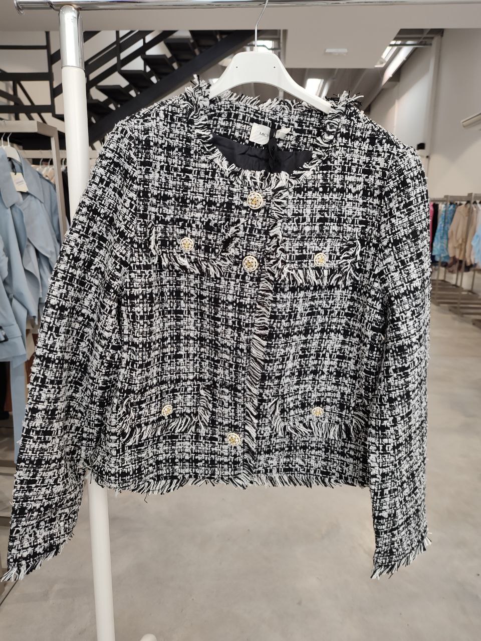 Фото Amelie Follies (Michelle)