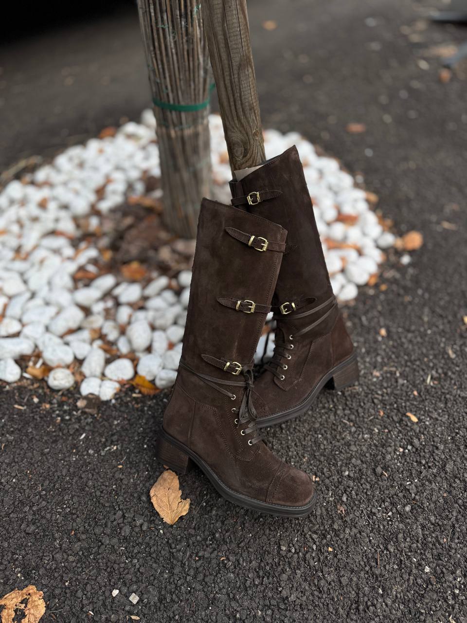 Фото Federica Lancioni