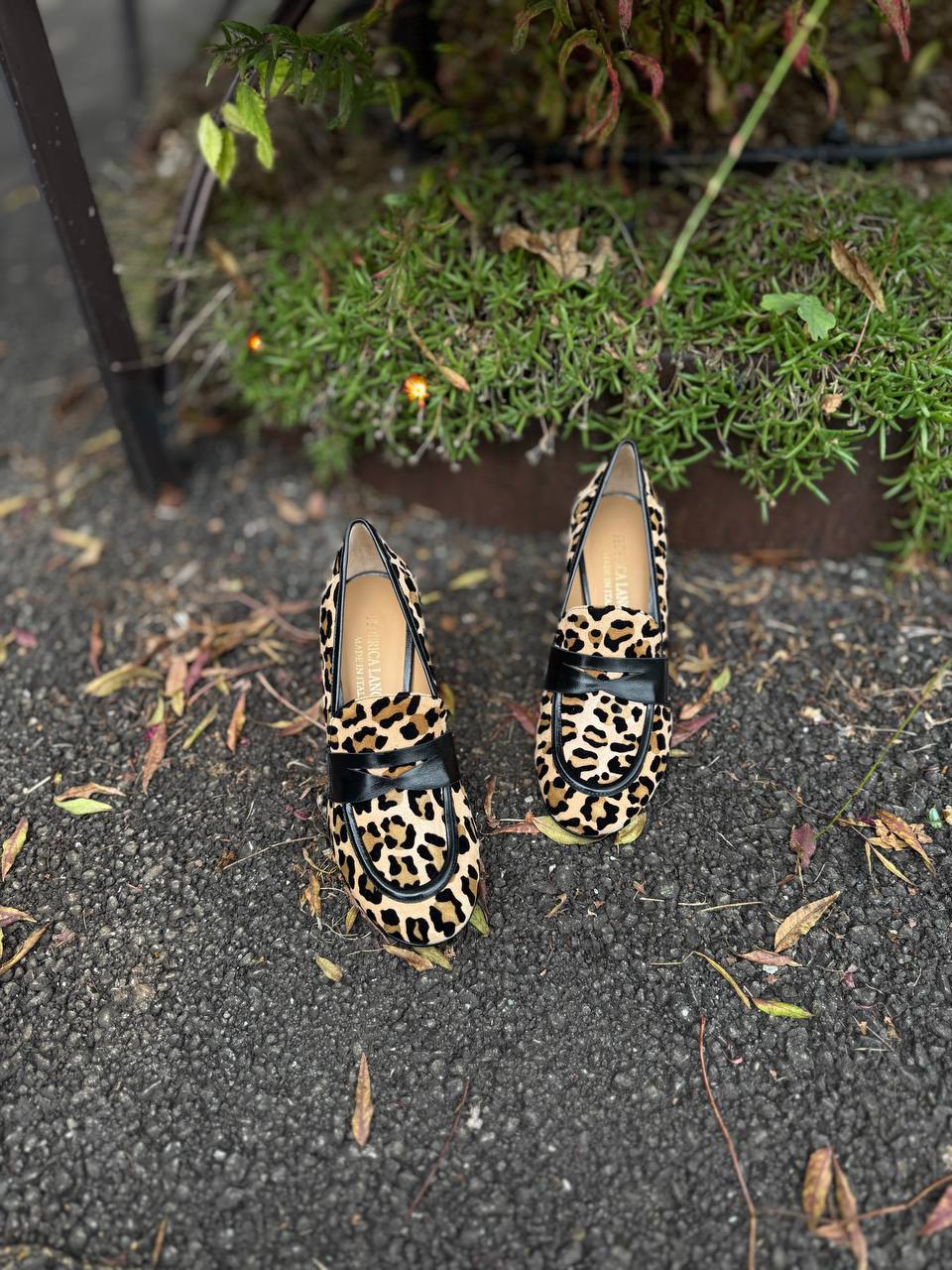 Фото Federica Lancioni