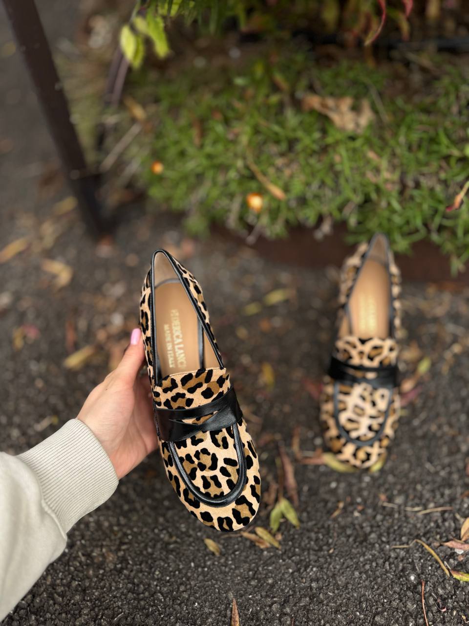 Фото Federica Lancioni