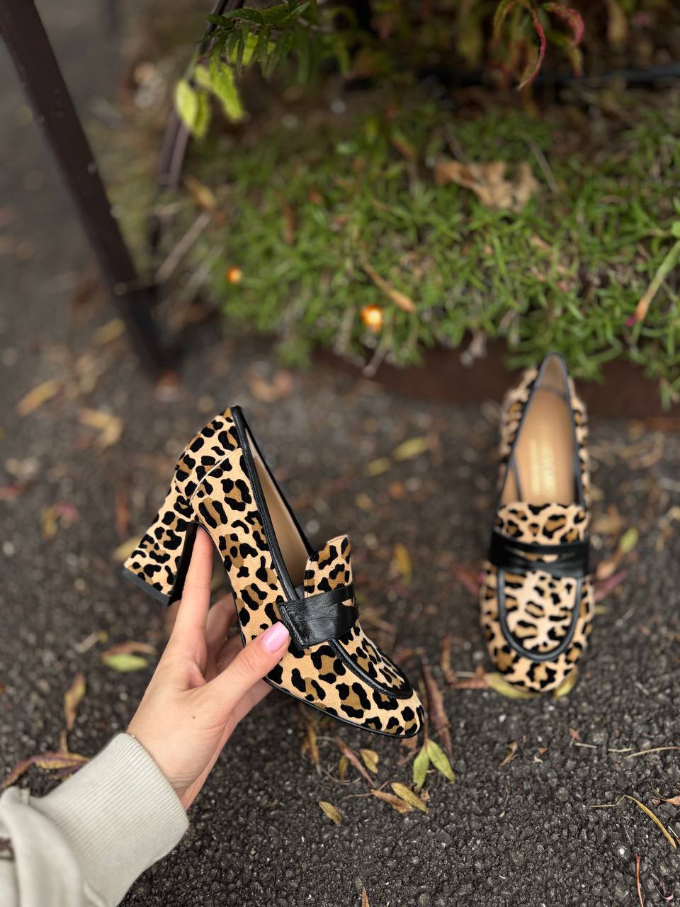 Фото Federica Lancioni