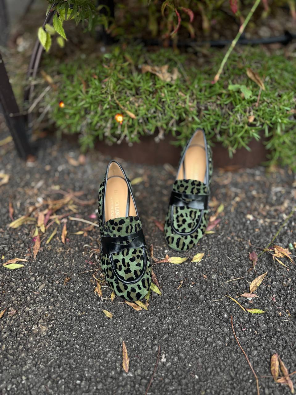 Фото Federica Lancioni