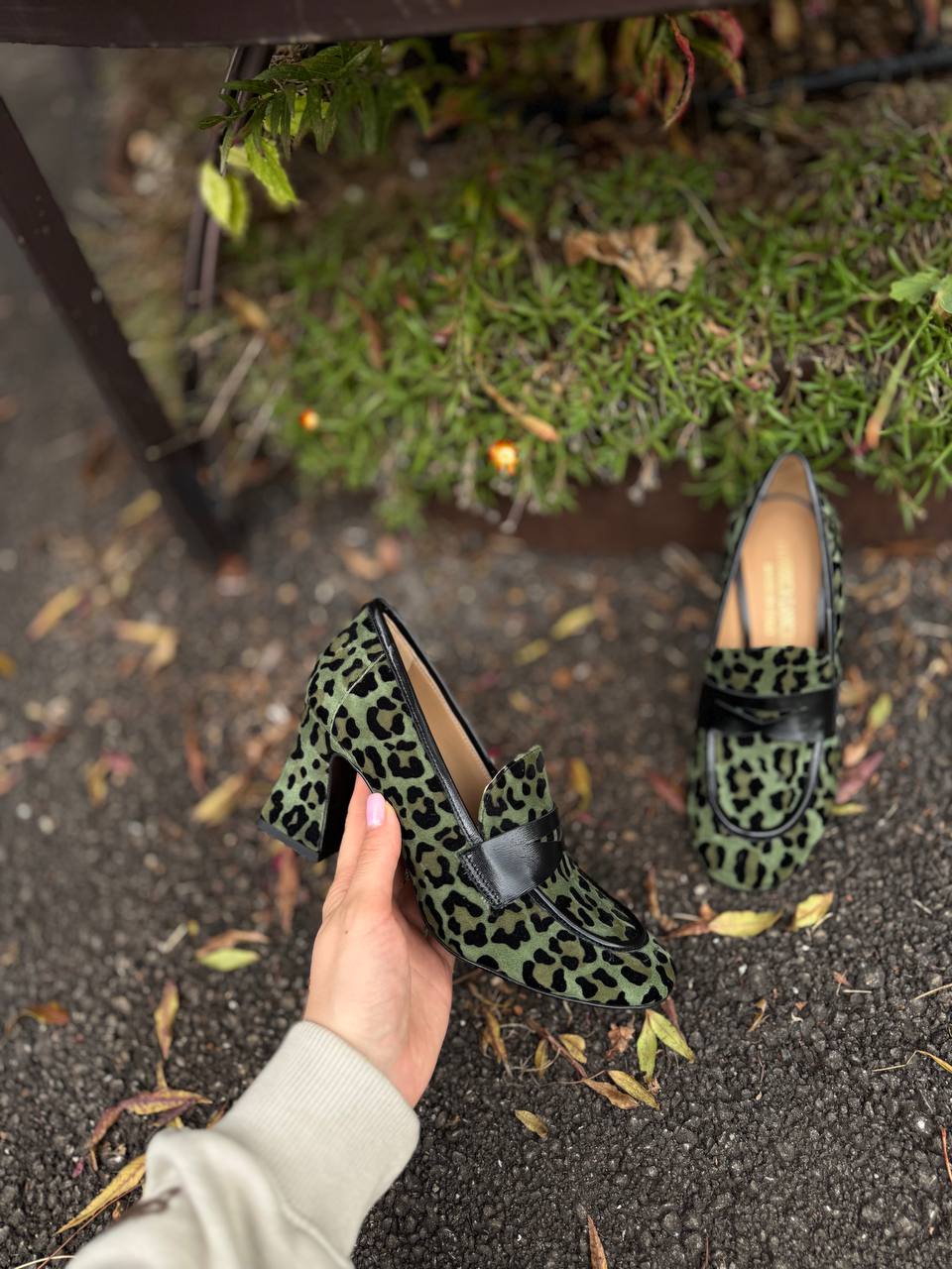 Фото Federica Lancioni