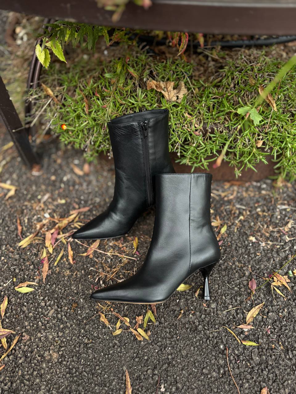 Фото Federica Lancioni