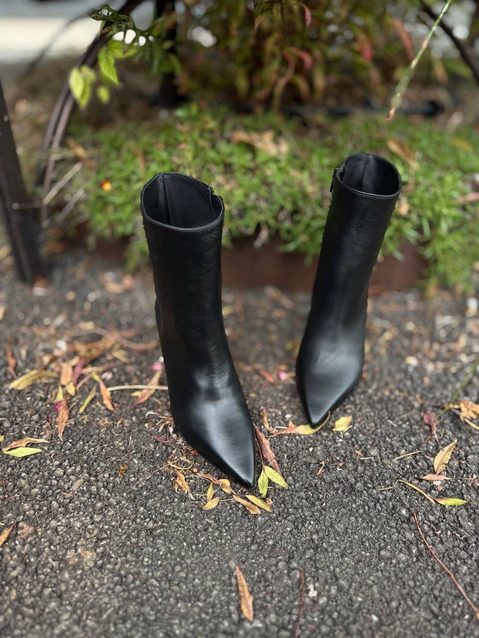 Фото Federica Lancioni