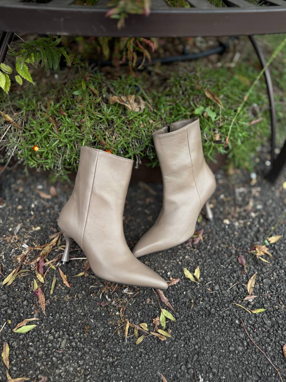 Фото Federica Lancioni