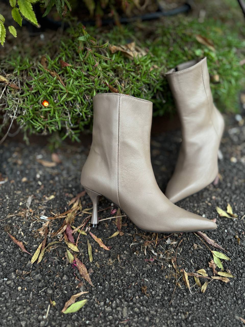 Фото Federica Lancioni