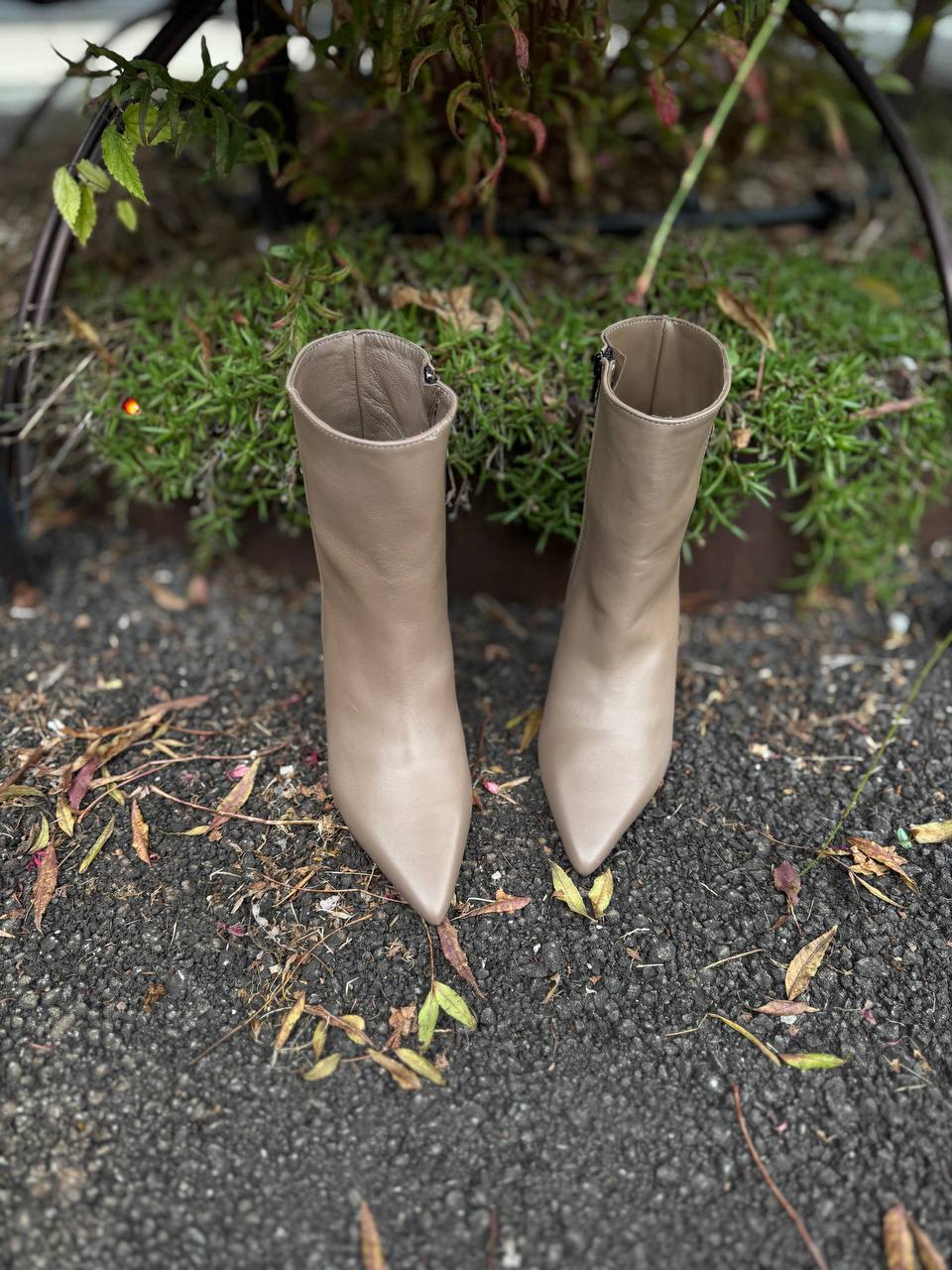 Фото Federica Lancioni