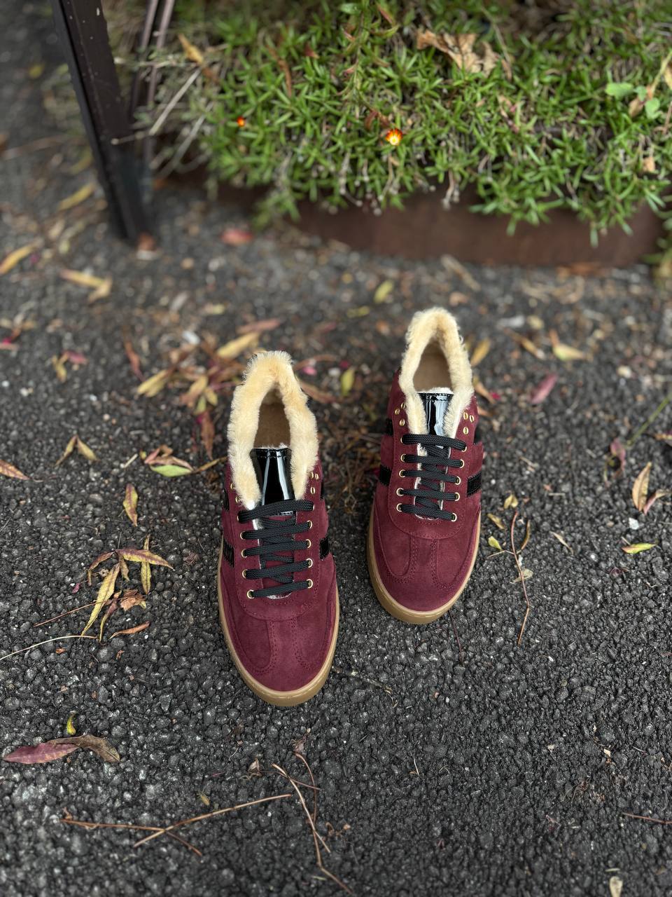 Фото Federica Lancioni