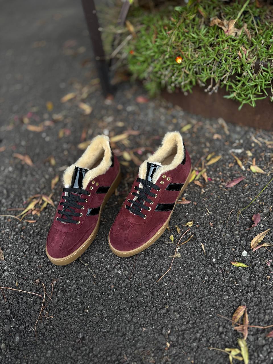 Фото Federica Lancioni