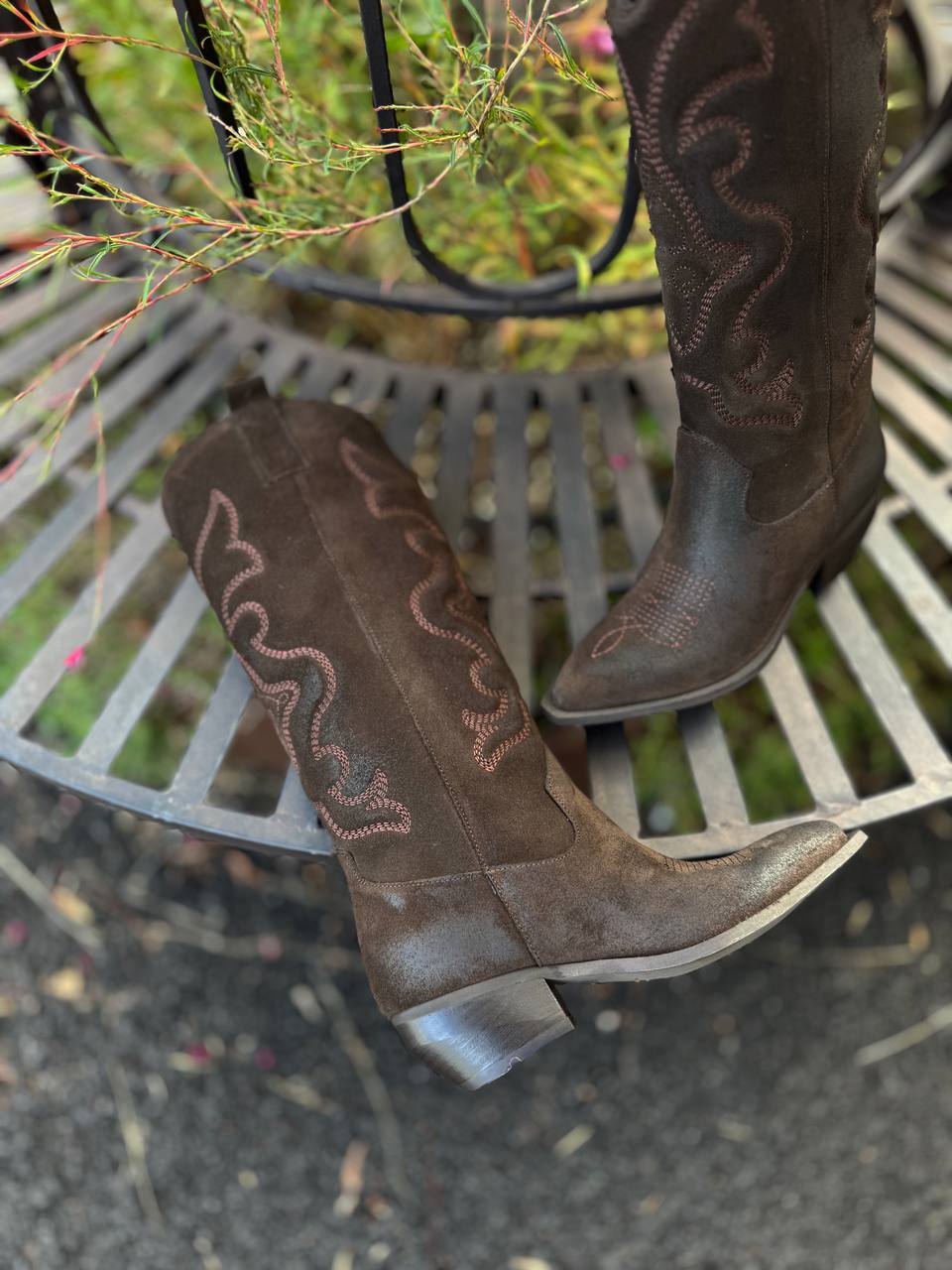 Фото Federica Lancioni