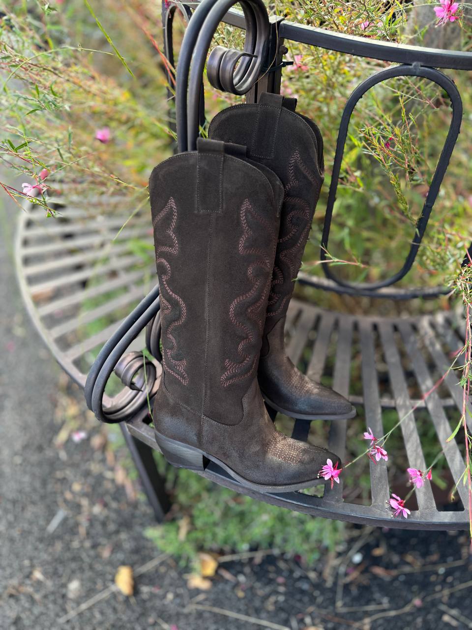 Фото Federica Lancioni