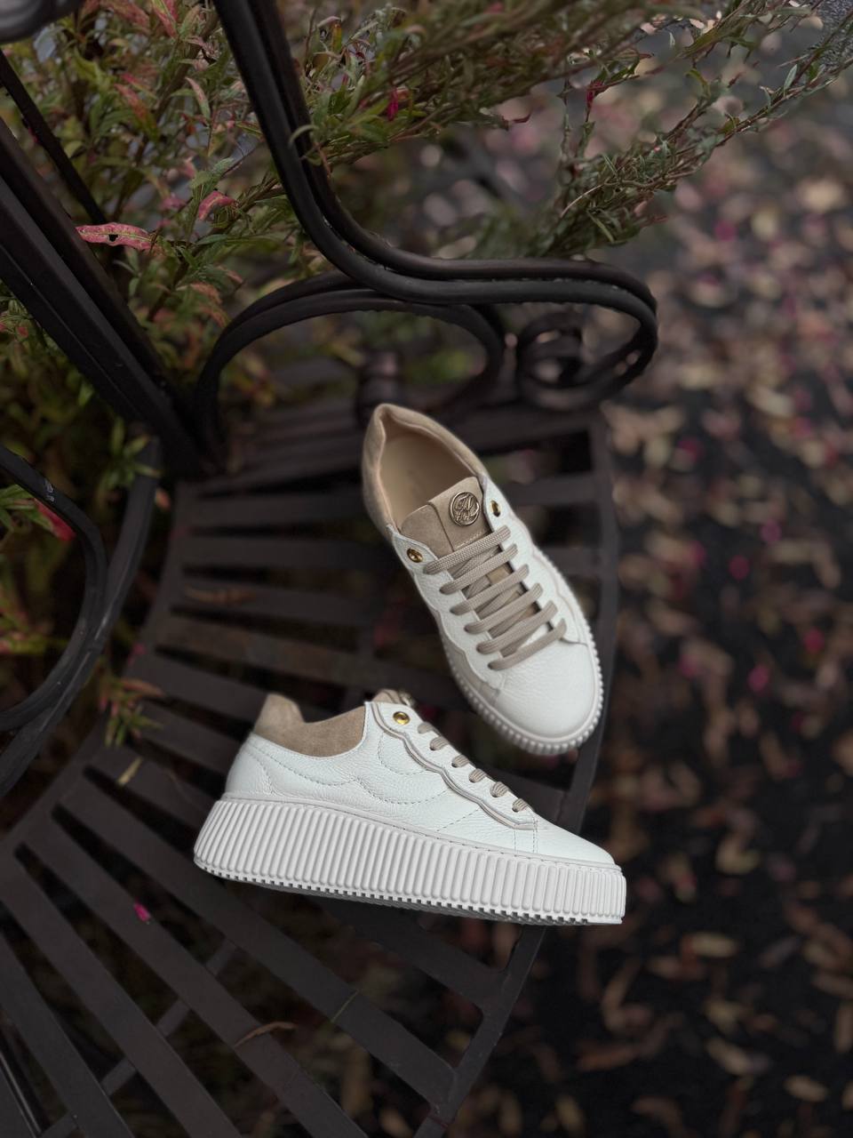 Фото Federica Lancioni