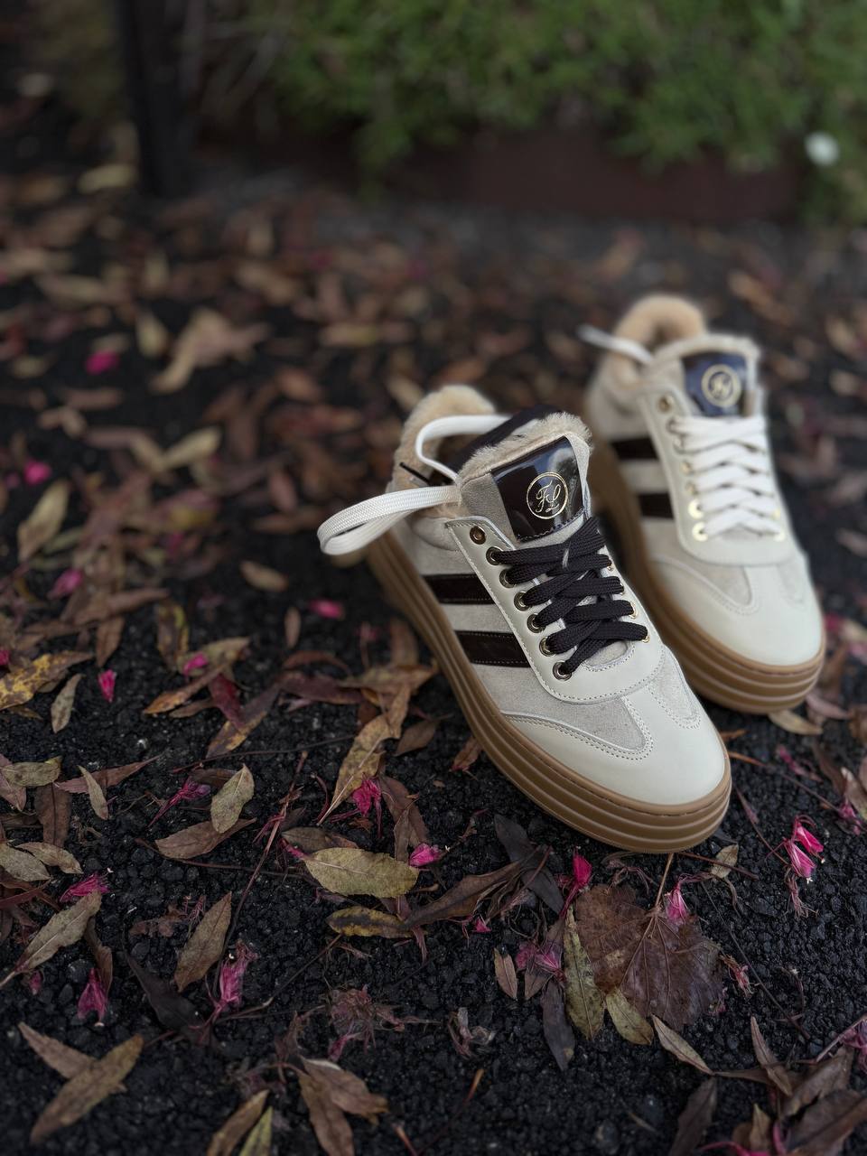 Фото Federica Lancioni