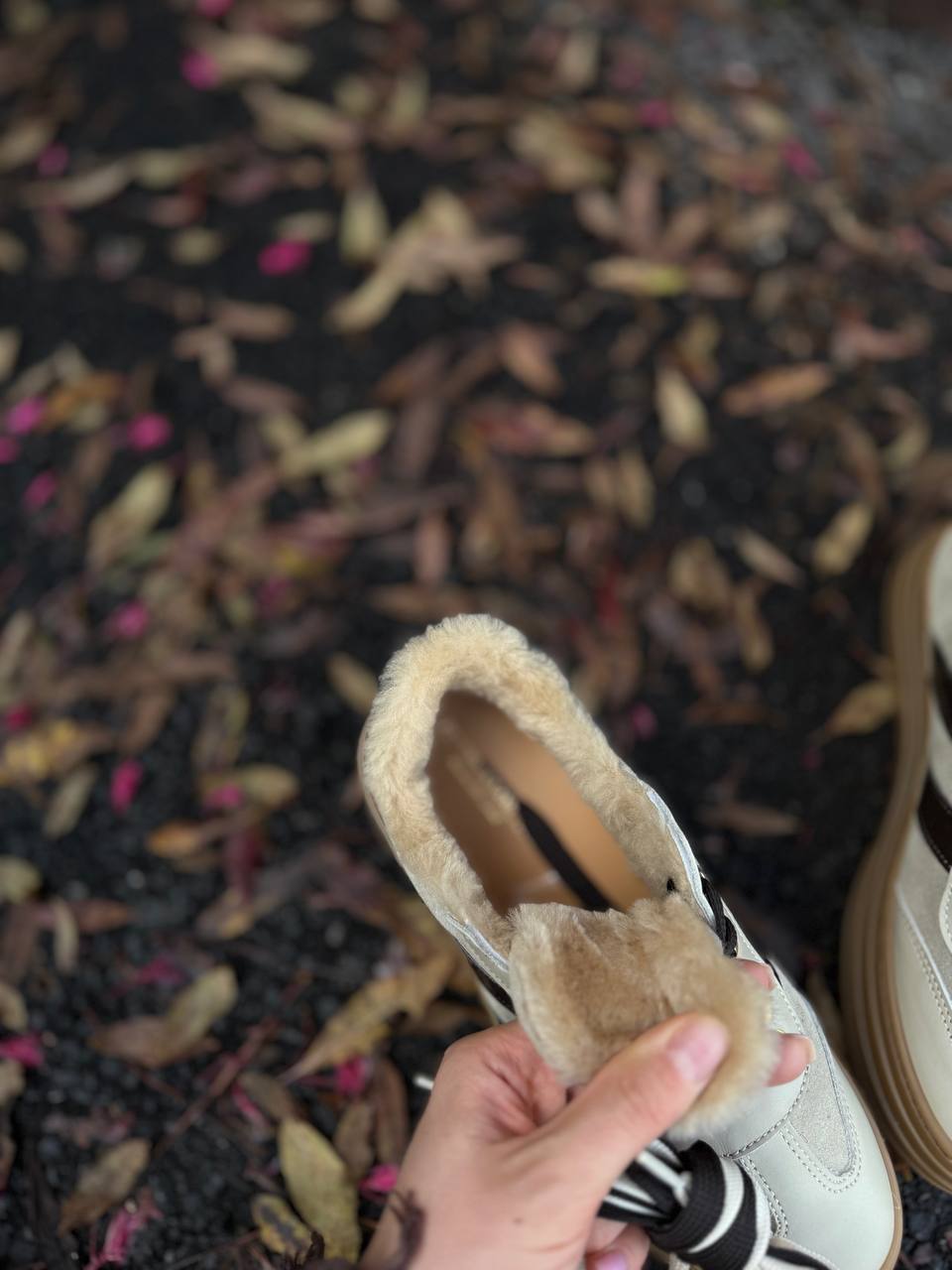 Фото Federica Lancioni