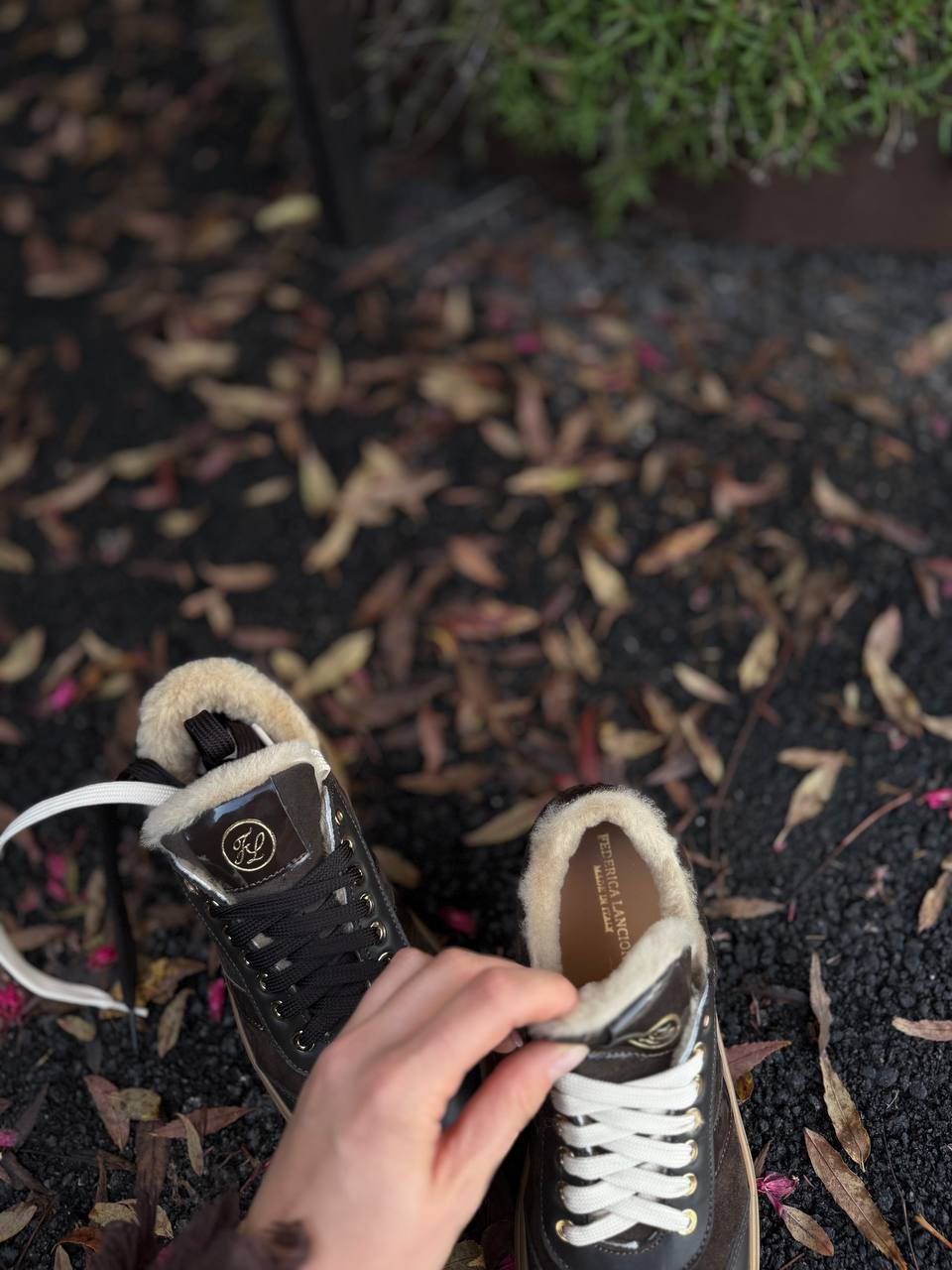 Фото Federica Lancioni