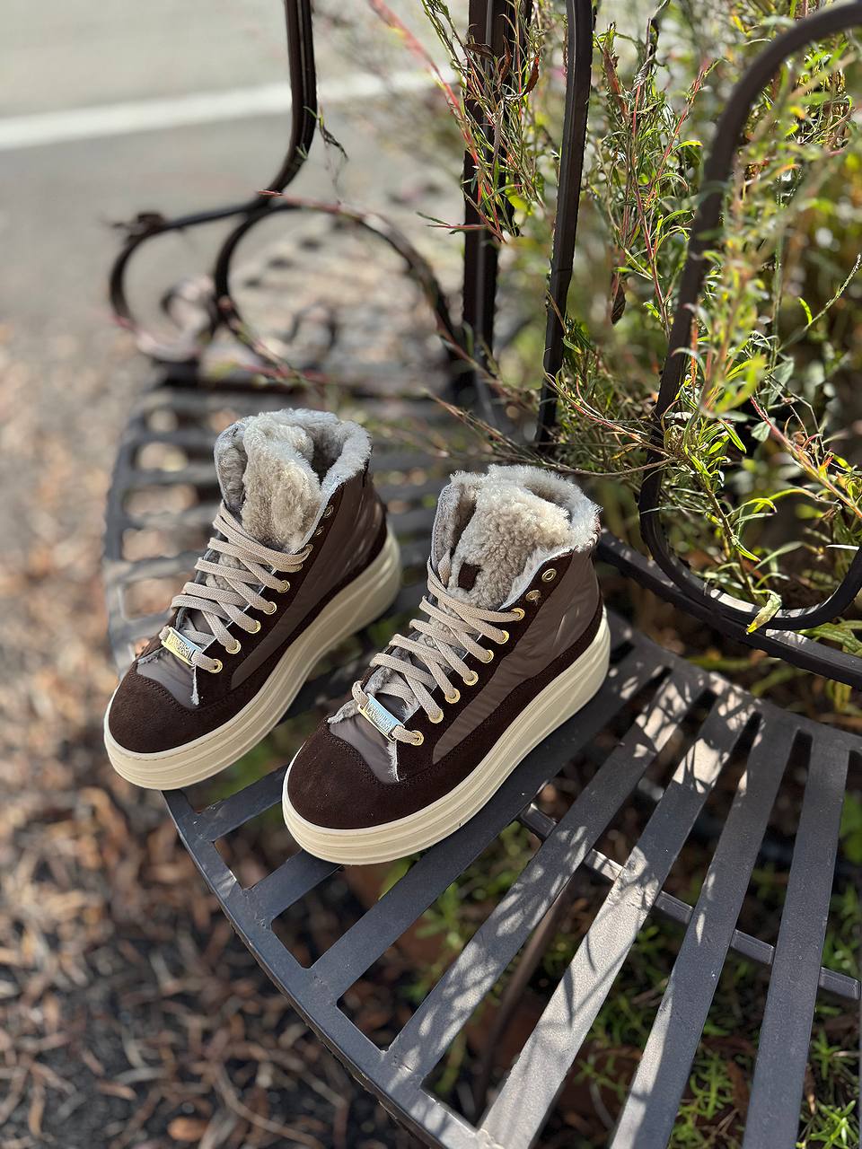 Фото Federica Lancioni