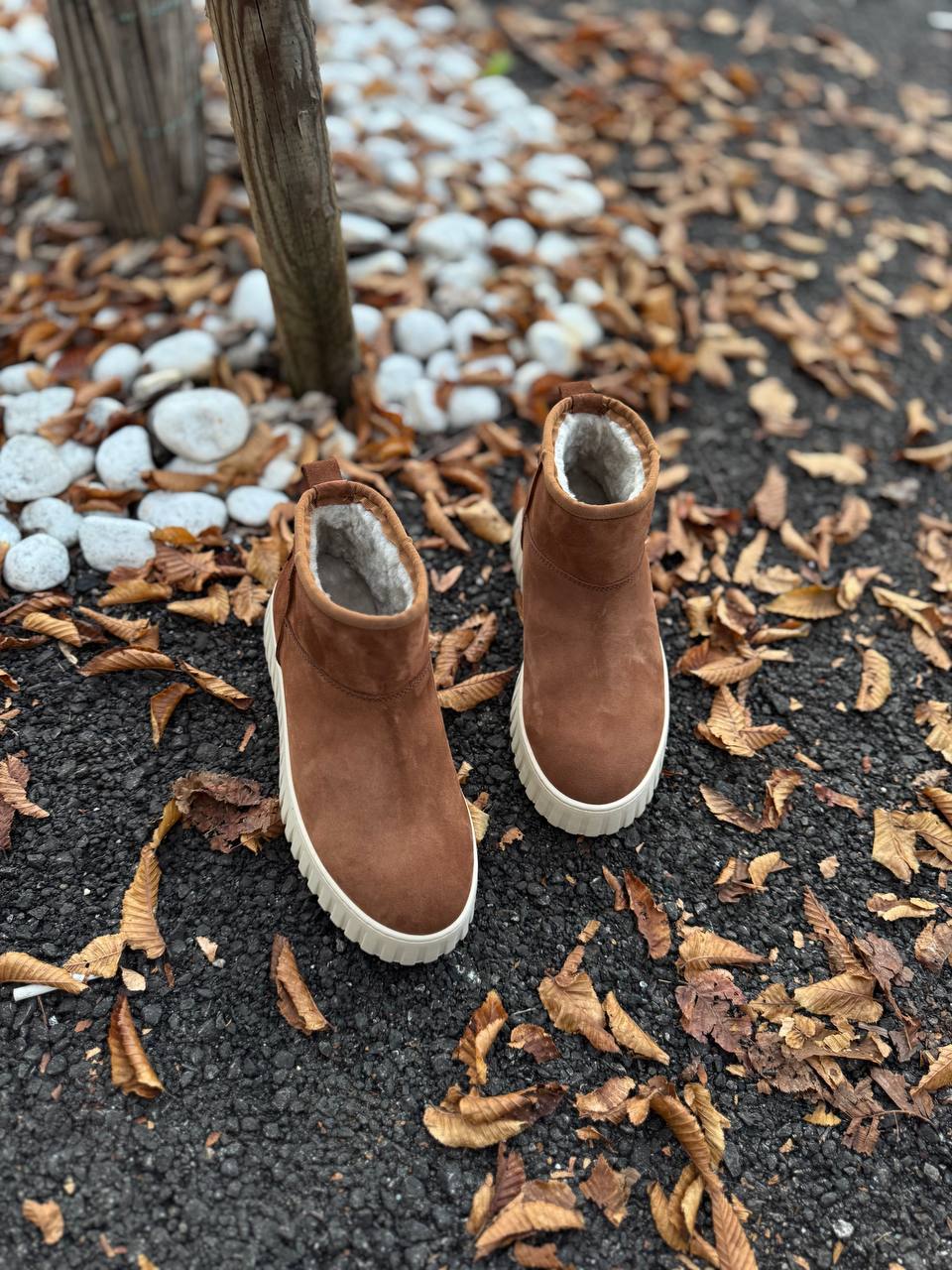 Фото Federica Lancioni