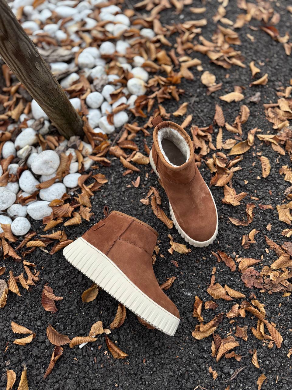 Фото Federica Lancioni