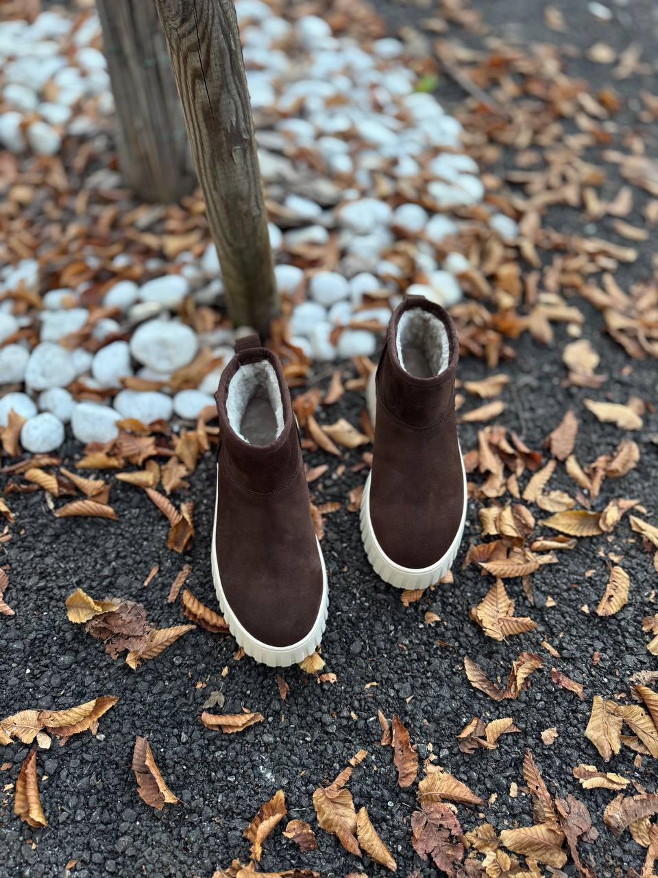 Фото Federica Lancioni