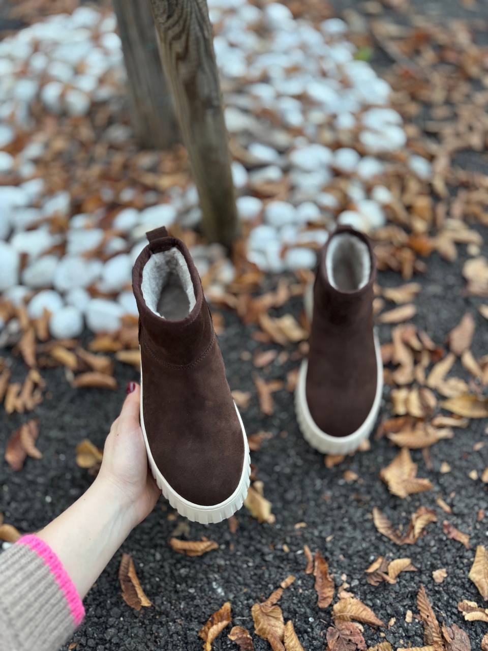 Фото Federica Lancioni