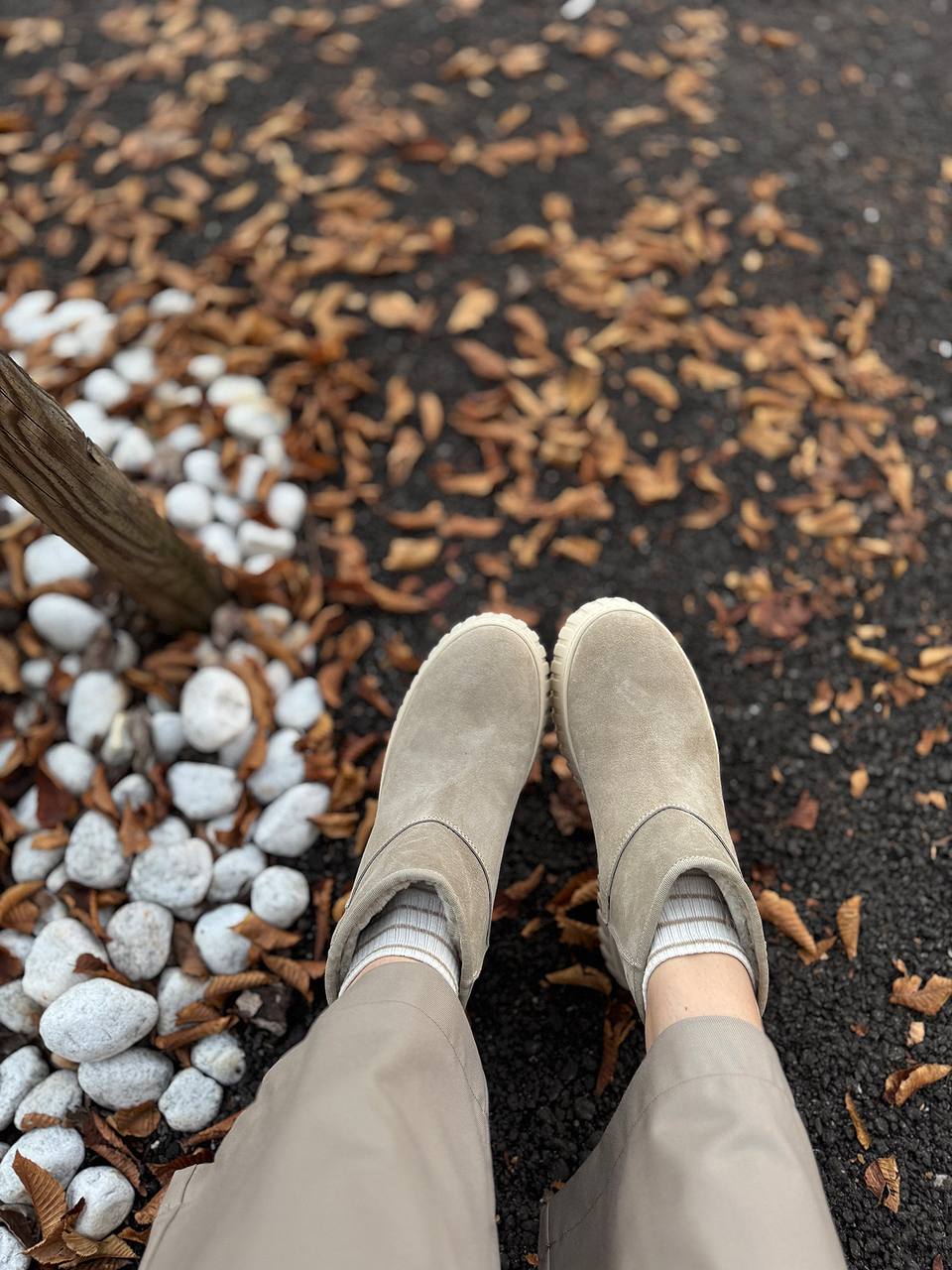 Фото Federica Lancioni