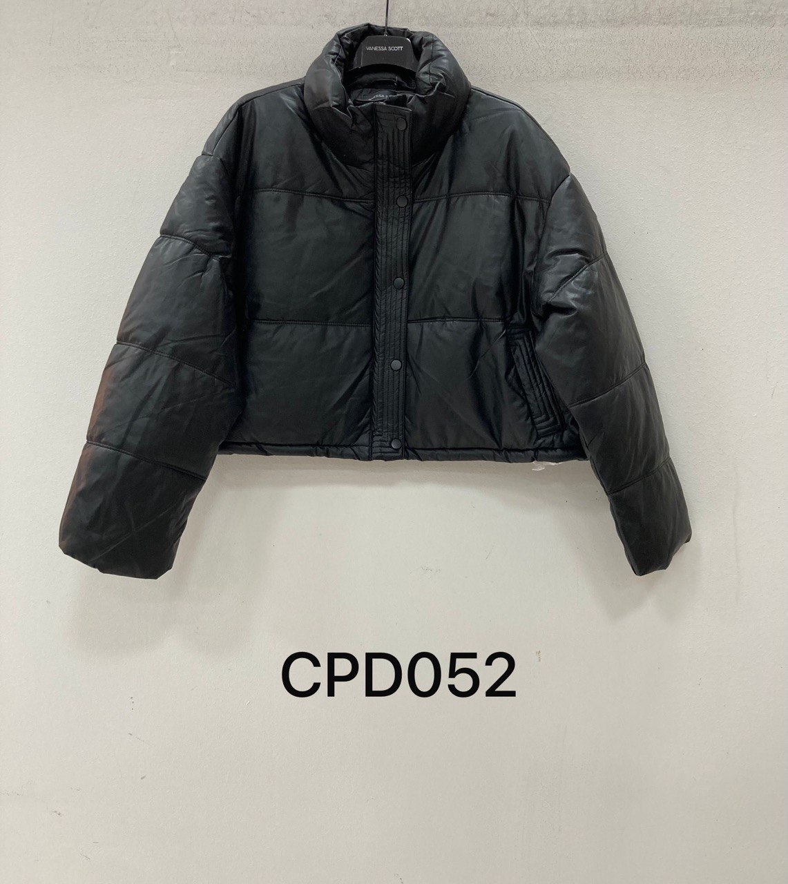 Фото Vanessa Scott