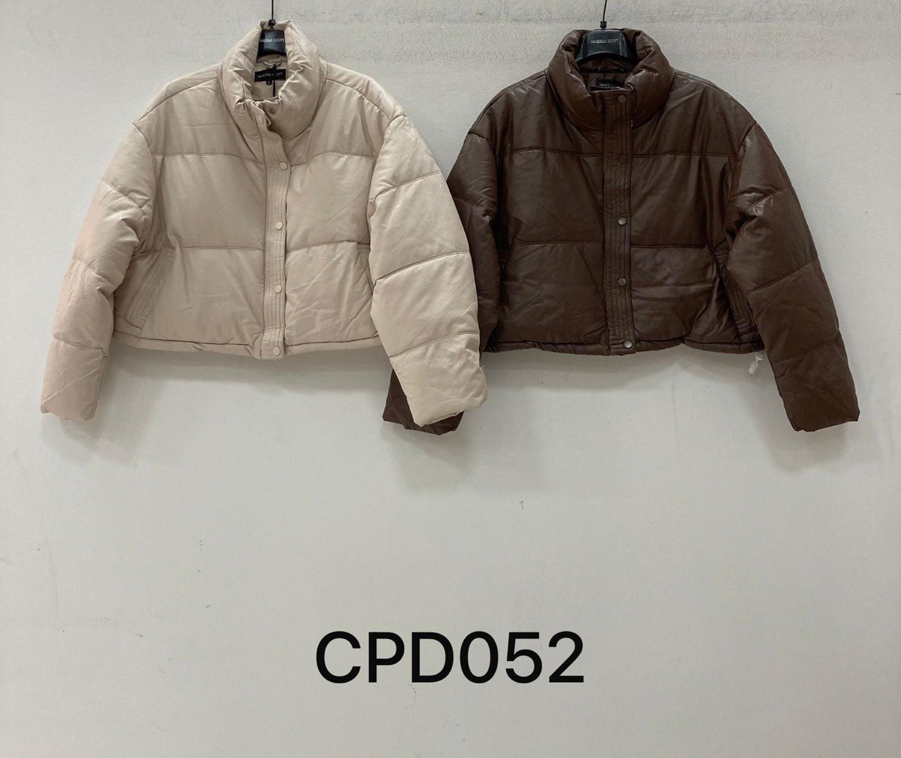 Фото Vanessa Scott