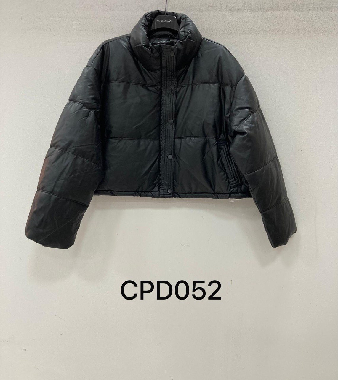 Фото Vanessa Scott