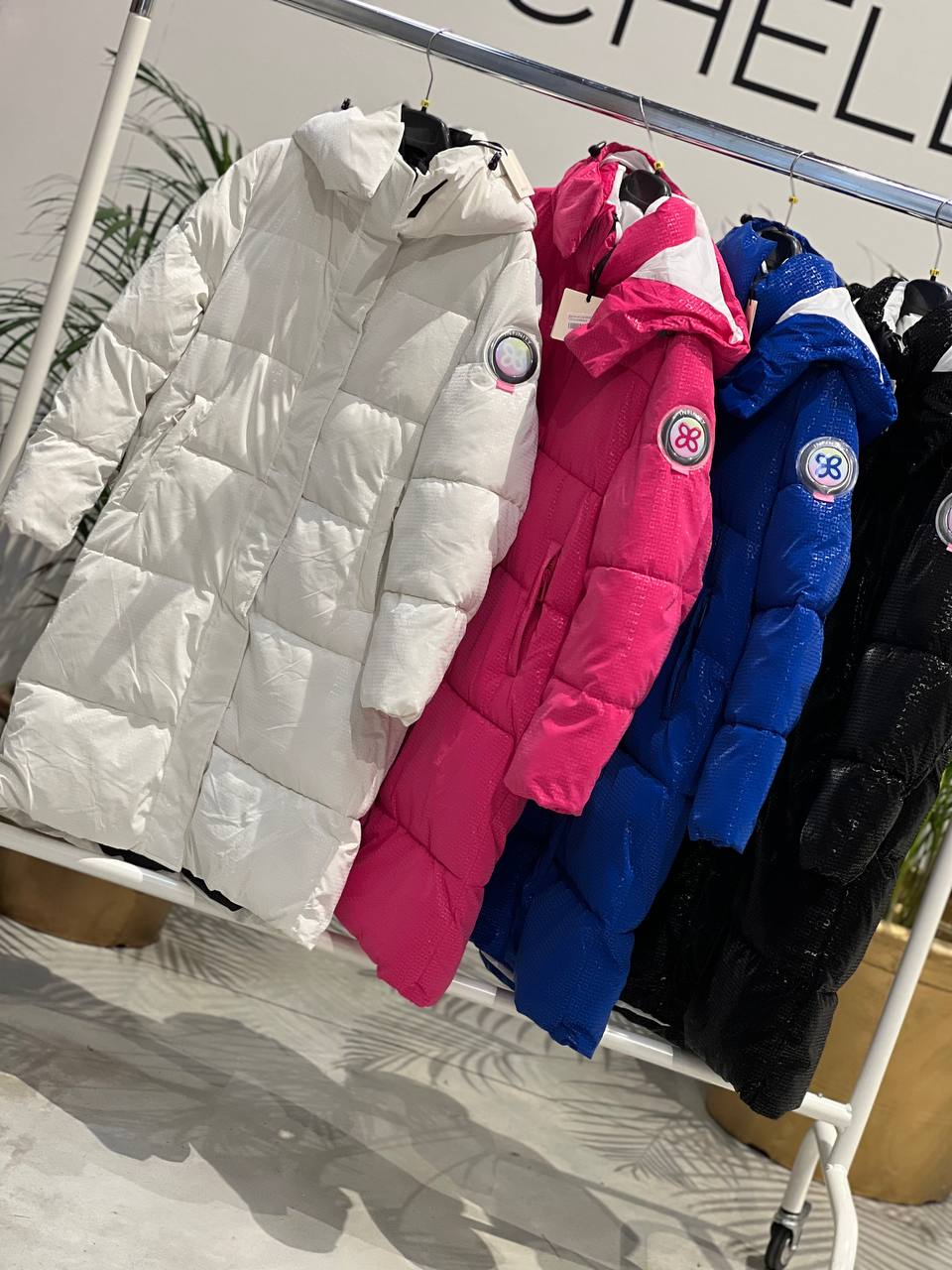 Фото Amelie Follies (Michelle)