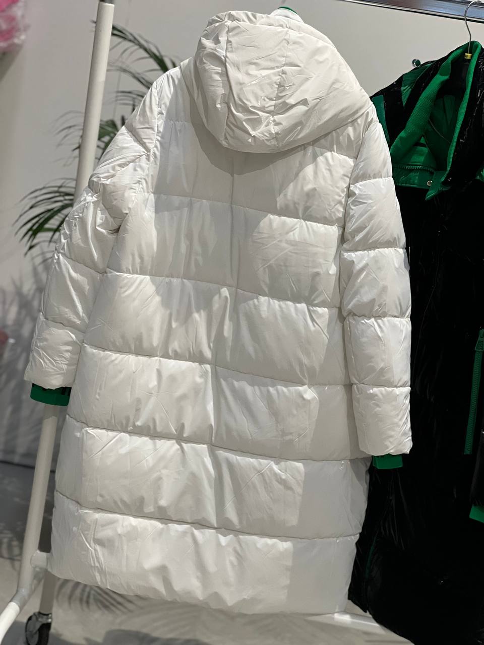 Фото Amelie Follies (Michelle)