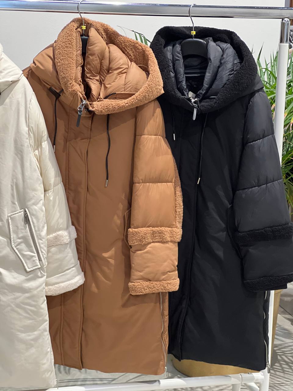 Фото Amelie Follies (Michelle)