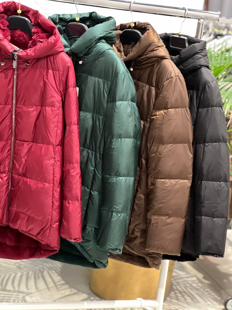 Фото Amelie Follies (Michelle)